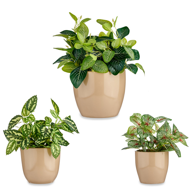 Set ghivece rotunde din ceramica, baza conica, 3 bucati