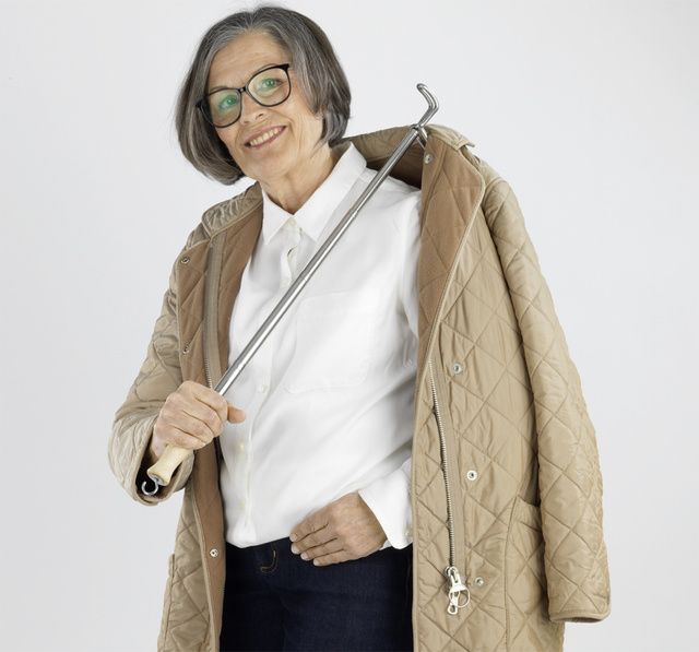 Dispozitiv pentru incaltarea pantofilor