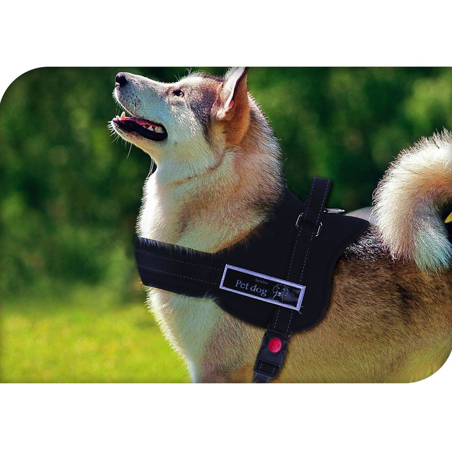 Ham pentru câini mărimea S