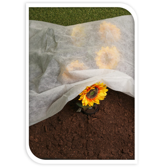 Agrotextil alb, 1 x 10 m