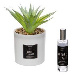 Plantă artificială cu ulei parfumat