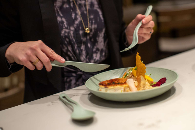 Soup Plate CLUB organic green