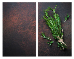 Set 2 placi protectoare pentru aragaz Rosemary, Sticla, 52x30 cm, ALLSTAR