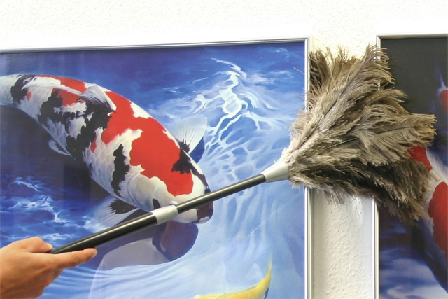 Pamatuf telescopic, din pene de strut