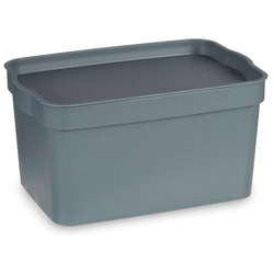 Cutie de depozitare din plastic, 2,3 l