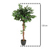 Plantă artificială în ghiveci, FICUS înalt, 120 cm