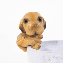 Decor pentru ghiveci, in forma de catel