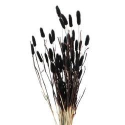 Crengute decorative pentru vaza, uscate, 70 cm