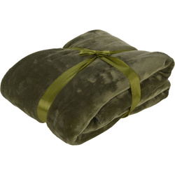 Pătură de pluș, verde, 130 x 160 cm