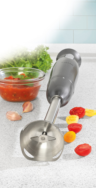 Blender de mână 400 W SALTER COSMOS, 2 viteze