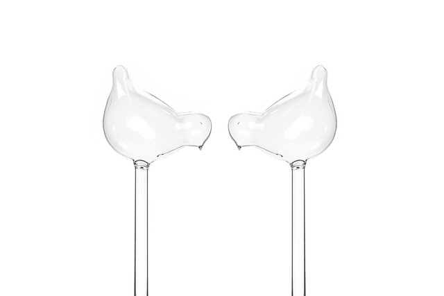 Irigator din sticlă pentru udarea plantelor PTAK - 2 bucăți în set