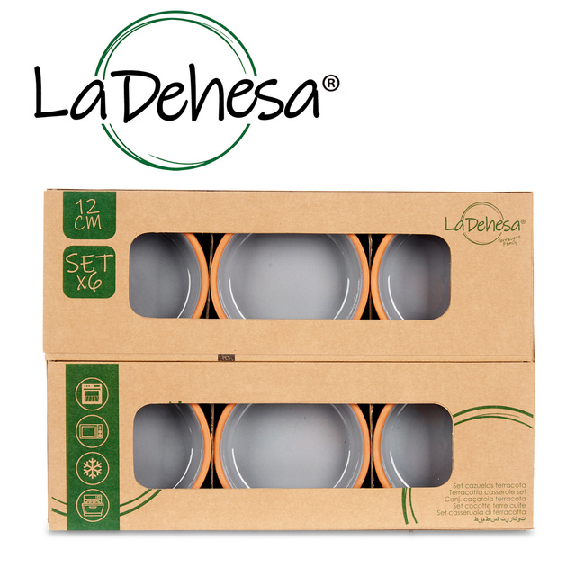 Vas de ceramica, vas cu interior vitrat