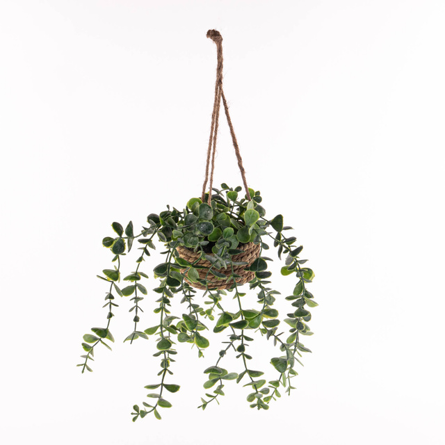 Plantă suspendată PATRI Ø 14 cm cu ghiveci din fibre naturale