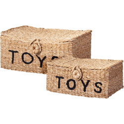 Cutii închise pentru jucării TOYS, 2 coșuri