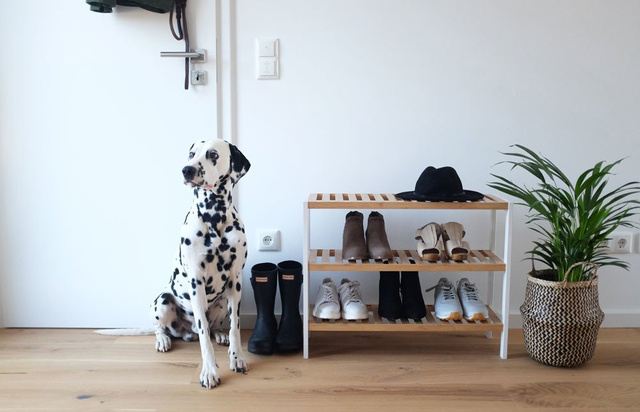 Dulap pantofi, suport exterior din fibre de bambus