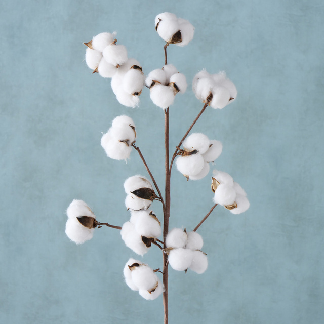 Ramura artificiala din bumbac, 68 cm