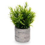 Suculent artificial în ghiveci cu dungi FEGREE, Ø 10 cm
