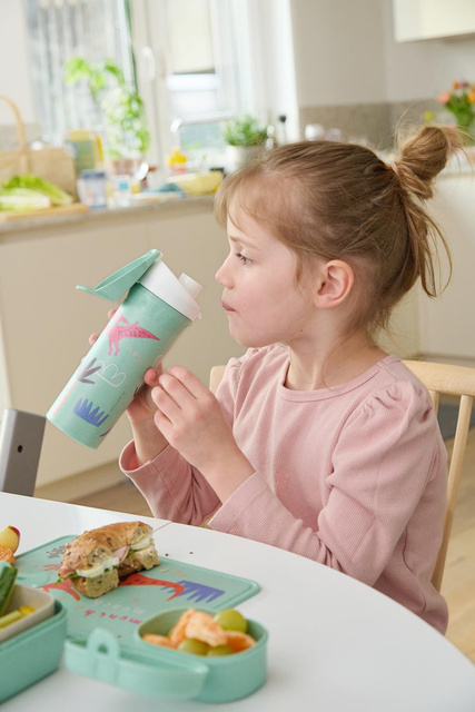 Sticla de apa DREAMS, 500 ml, KOZIOL