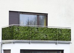 Protecție pentru balcon cu motiv de viță sălbatică - 500 x 85 cm, viță sălbatică