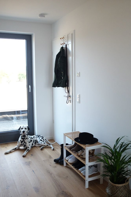 Dulap pantofi, suport exterior din fibre de bambus