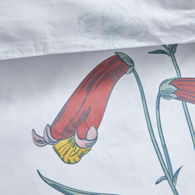 Lenjerie de pat din bumbac pentru 2 persoane, 220 x 240 cm, ROSIE