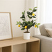 Copac decorativ cu lămâi, 58 cm