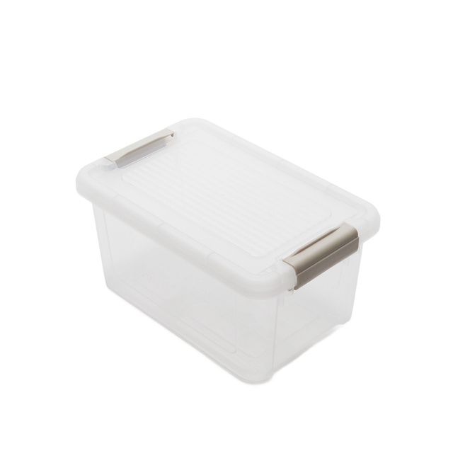 Cutie de depozitare transparenta, 29 x 19 x 14,5 cm