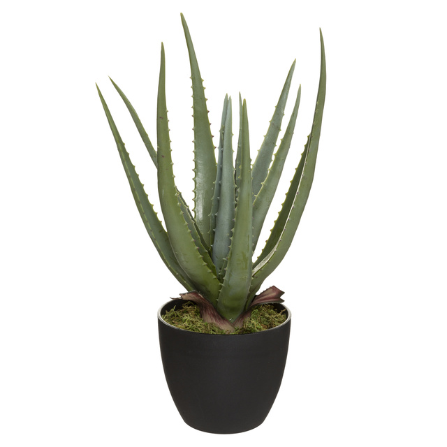 Aloe Vera artificiala in ghiveci, inaltime 44 cm