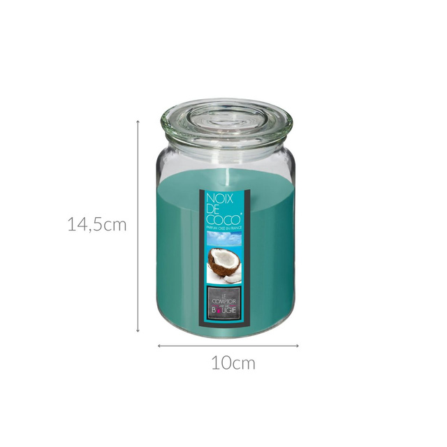 Lumânare parfumată în sticlă NINA, 510 g