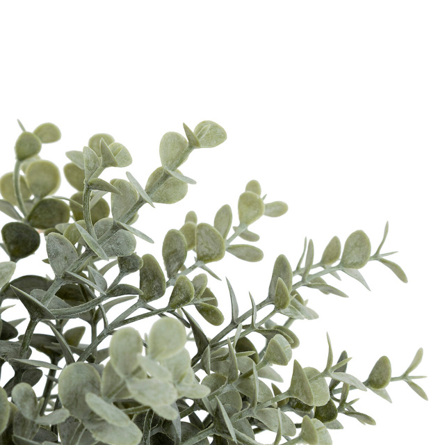 Buchet de eucalipt James înălțime 30 cm -verde