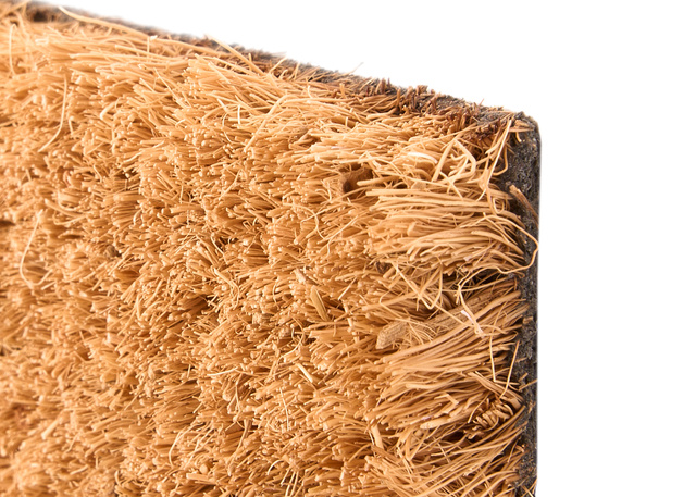 Covoraș de ușă din fibră de cocos WELL, 25 x 60 cm