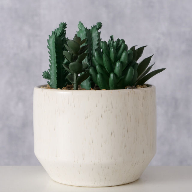 Planta suculenta artificiala, 12 cm