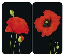 Plăci MacI de protecție din sticlă pentru plite- 2 bucăți