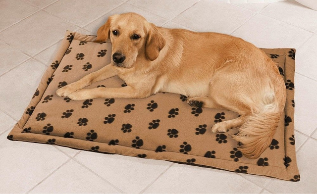 Pat pentru câini, 120 x 75 cm