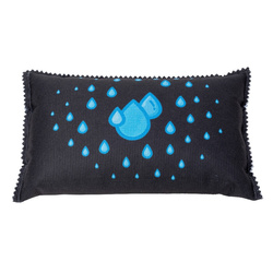 Dezumidificator pentru masina 1 kg, Wenko