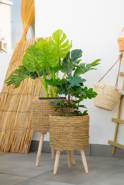 Planta artificiala MONSTERA, 70 cm