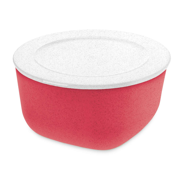 Recipient alimentar cu capac, 2L, CONNECT L, KOZIOL