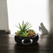 Plante artificiale, Ø 20 cm, o compoziție de plante suculente