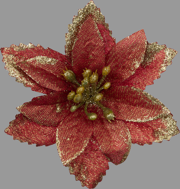 Inel pentru servetel, steaua Betleemului cu decor auriu, 2 bucati