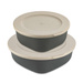 Recipiente cu capac 0,7l + 1,3l, CONNECT BOX SET KOPENHAGEN, set 2 buc, KOZIOL