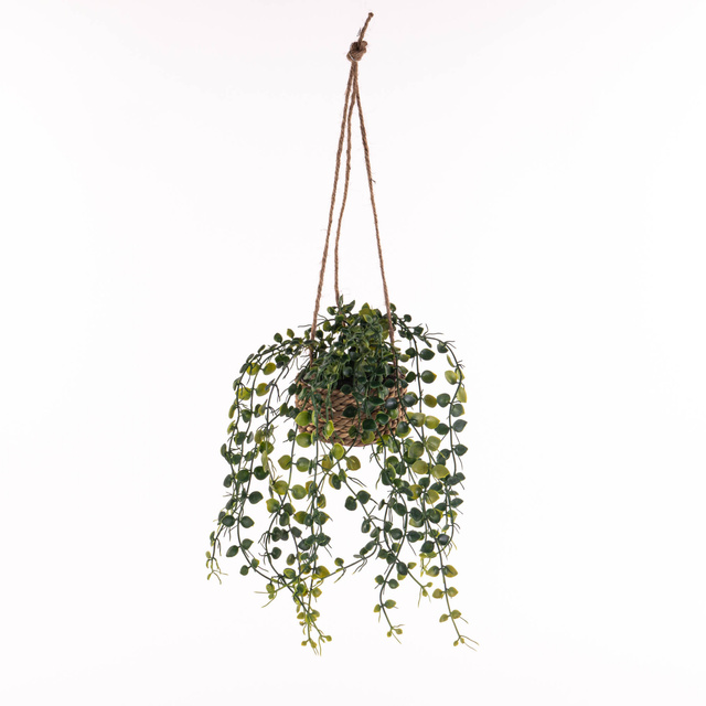 Plantă suspendată PATRI Ø 14 cm cu ghiveci din fibre naturale