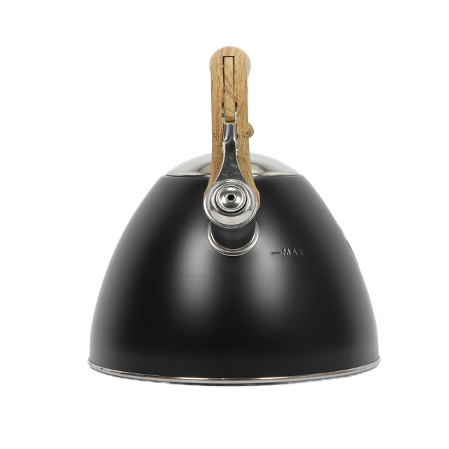 Fierbător cu fluier pentru fiecare aragaz, 2,5 l