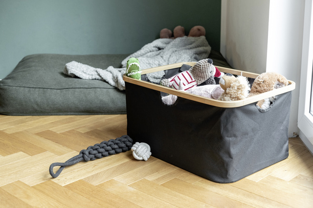 Coș de rufe pliabil, Ecori, WENKO