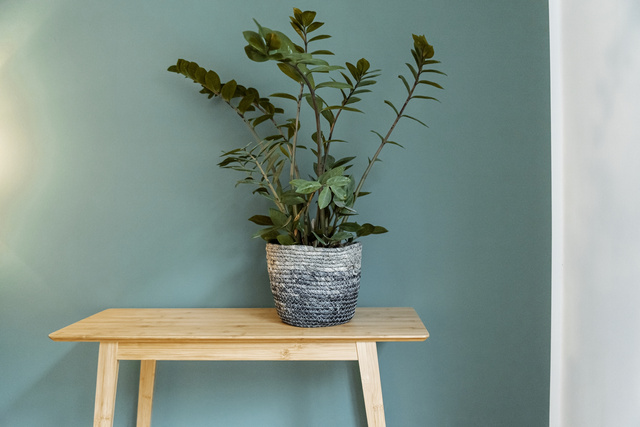 Coș depozitare, iarbă de mare, Coppitella, WENKO