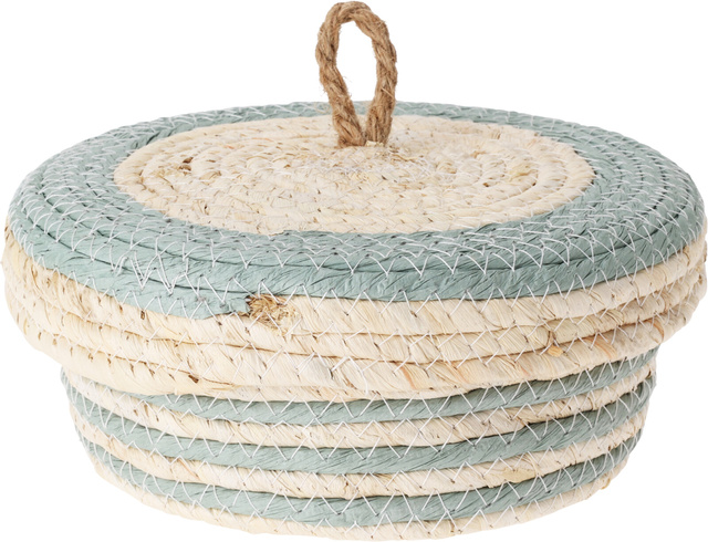 Recipiente de depozitare cu capac, 3 buc