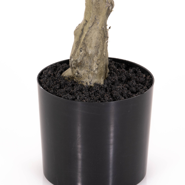 Planta artificială arbore de cauciuc, 69 cm