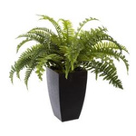 Planta artificiala in ghiveci negru, inaltime 55 cm, feriga Boston
