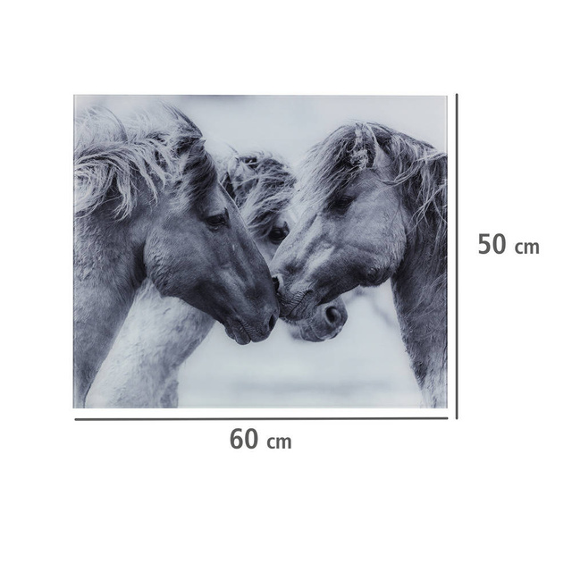 Protectie pentru aragaz, 50 x 60 cm, WENKO