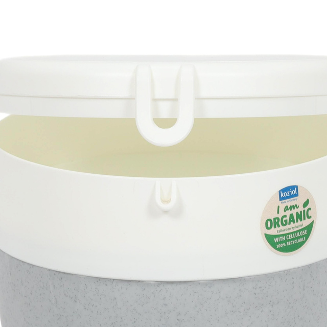 Cutie pentru salata si sos BENTOBOX L, 3 elemente, KOZIOL