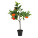 Pom fructifer cu plante artificiale, 60 cm